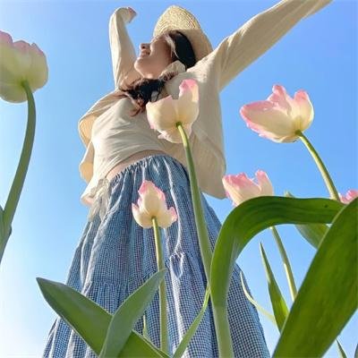 鳄鱼藏尸日记